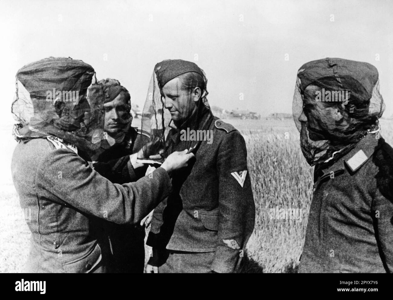 German soldiers try out mosquito nets. The soldier in the center wears an activity badge of aviation technical personnel on his sleeve. Photo: Bütow. [automated translation] Stock Photo