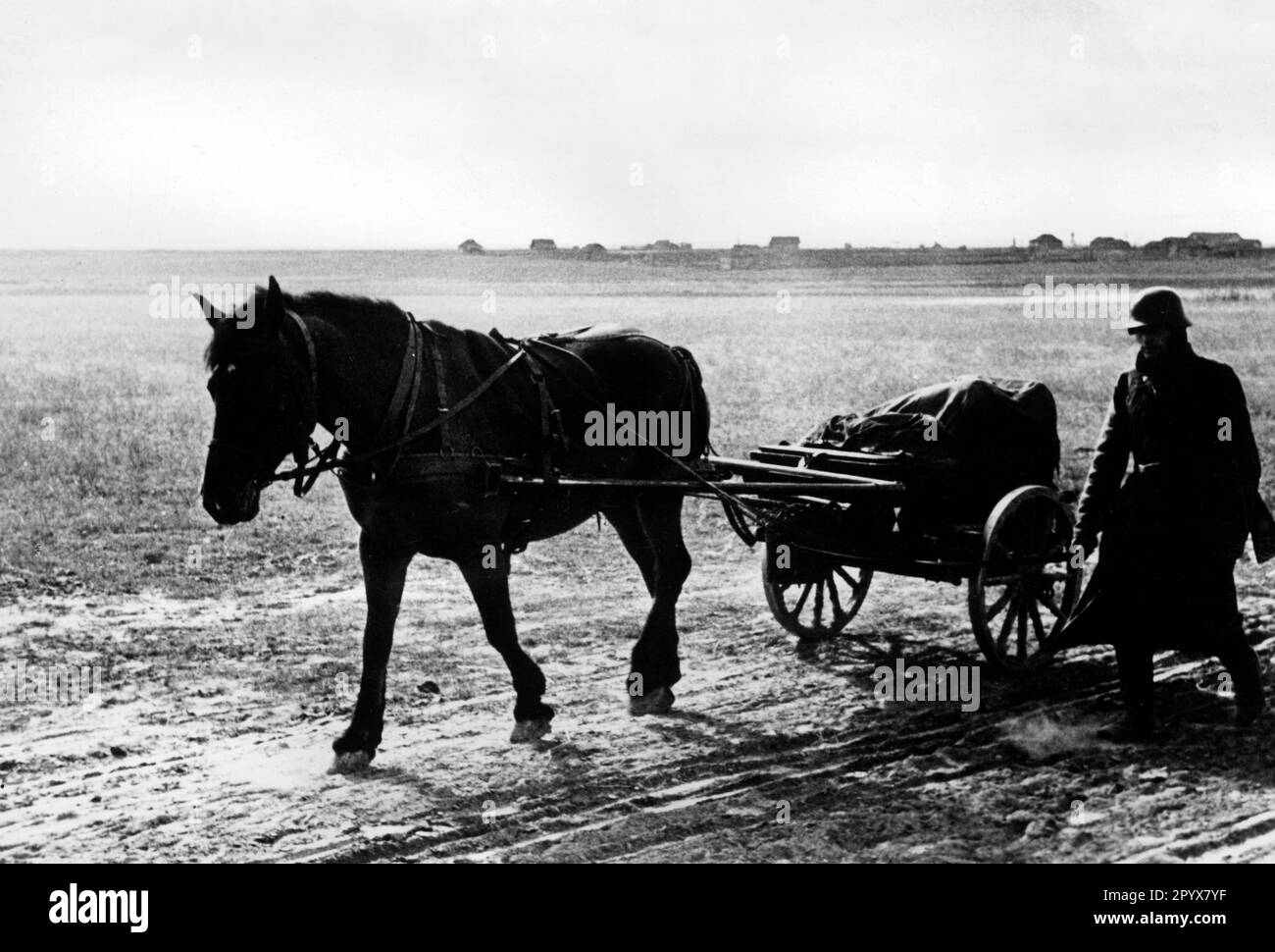 German soldier with a horse-drawn cart advancing in the central section of the Eastern Front near Petrovo. Photo: Götze [automated translation] Stock Photo