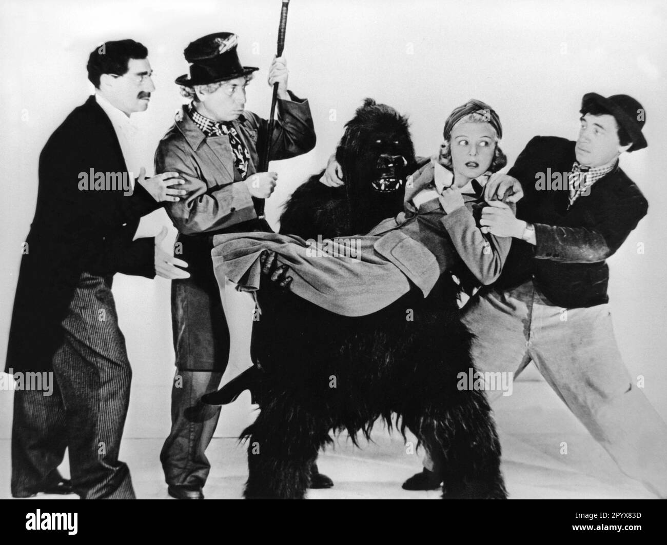 Film 'The Marx Brothers at the Circus'. Picture shows Harpo, Chico and Groucho Marx and Peerless Pauline (Eve Arden) on the arm of an Orang Utan. [automated translation] Stock Photo