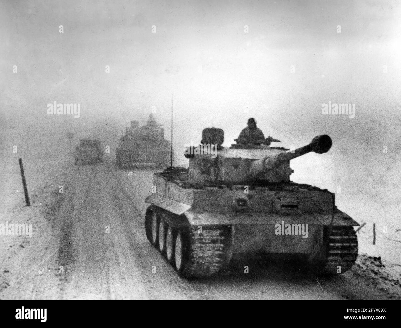 Tiger tanks on the eastern front south of Vitebsk. PK photo Jacob