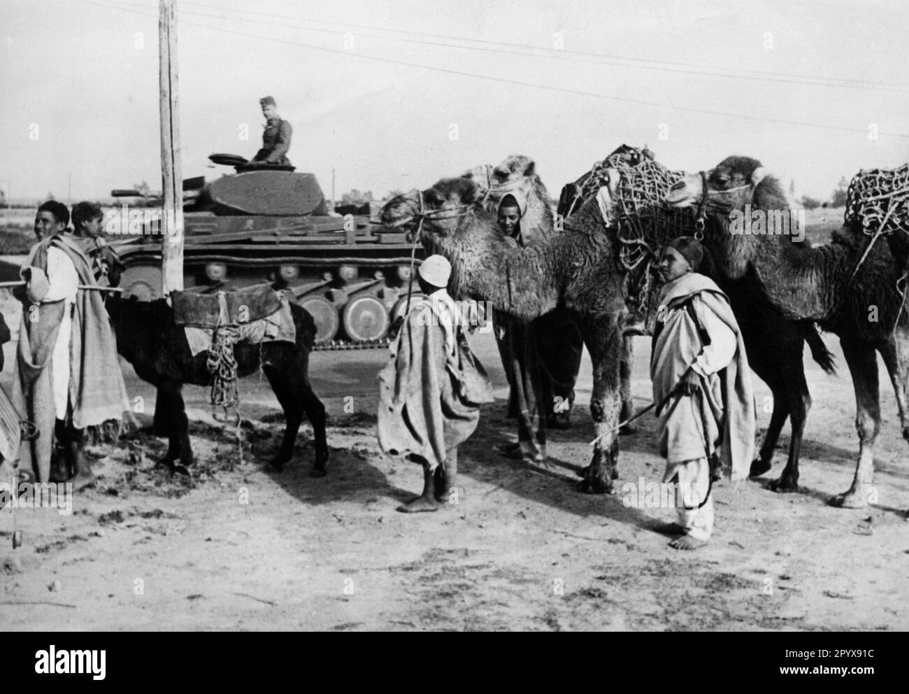 A Panzerkampfwagen II of the German Afrika Korps in Libya. In the foreground are locals with camels. To be seen on the tank: Presumably the tanks in the photo belong to the units that were transferred from the 5th to the 21st Panzer Division. [automated translation] Stock Photo