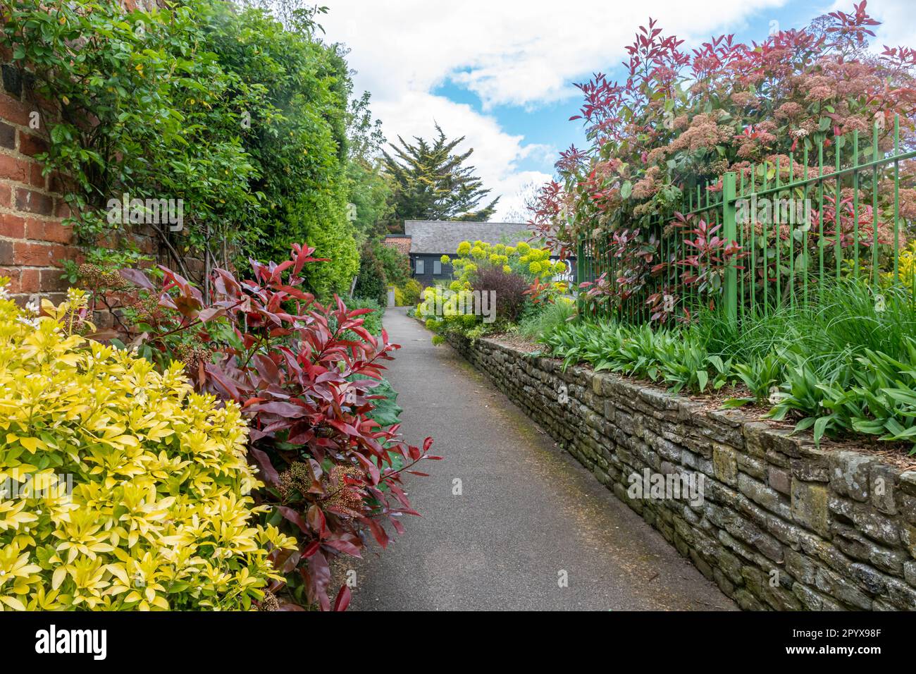 Allen House Grounds, garden gardens park in Guildford town, Surrey