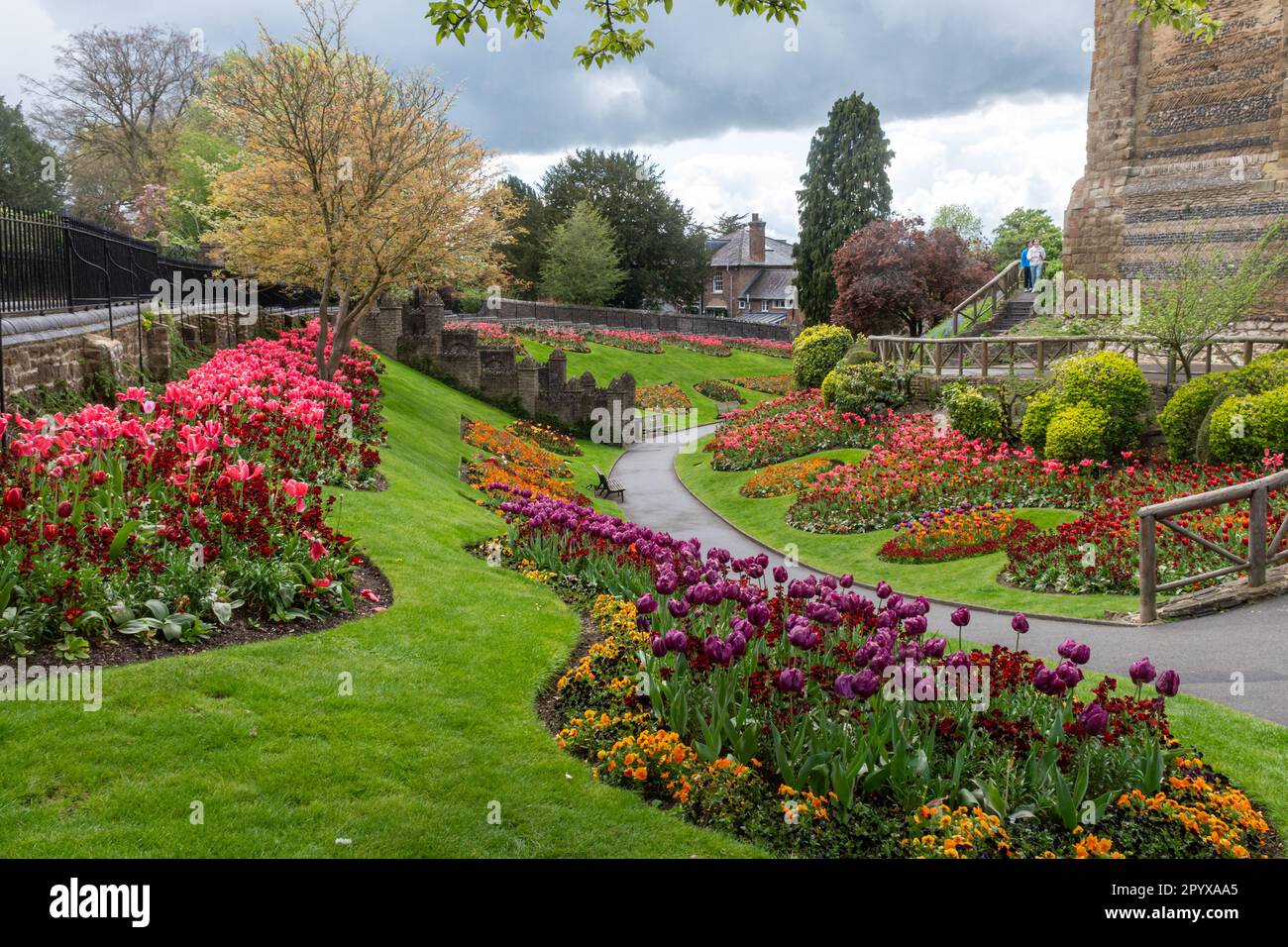 Guildford Castle grounds in Spring with colourful tulips in the flower
