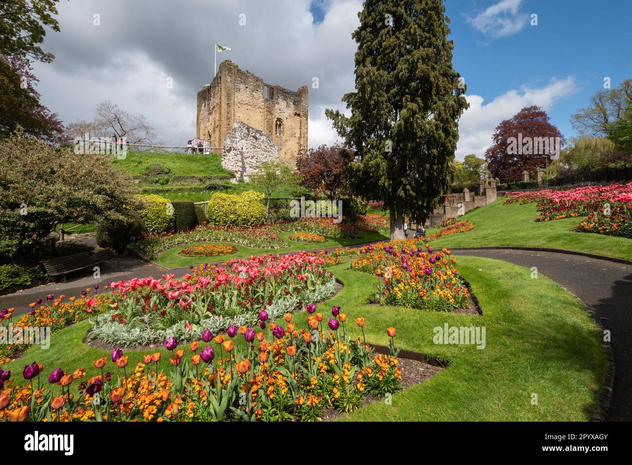 Guildford Castle grounds in Spring with colourful tulips in the flower gardens, Surrey, England, UK Stock Photo