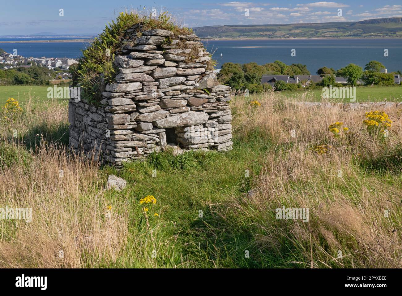 Ireland, County Donegal, Inishowen Peninsula, Moville monastic site, The Skull House which may have been an oratory or an ancient tomb for local saint Stock Photo