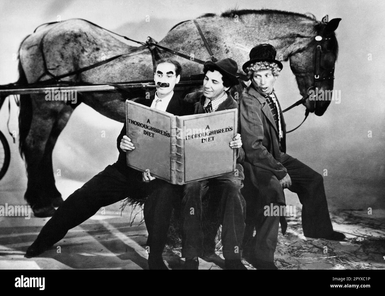 Groucho, Chico and Harpo Marx in 'The Marx Brothers: A Day at the Races'. Original title: 'A Day at the Races', directed by Sam Wood, USA 1937. [automated translation] Stock Photo
