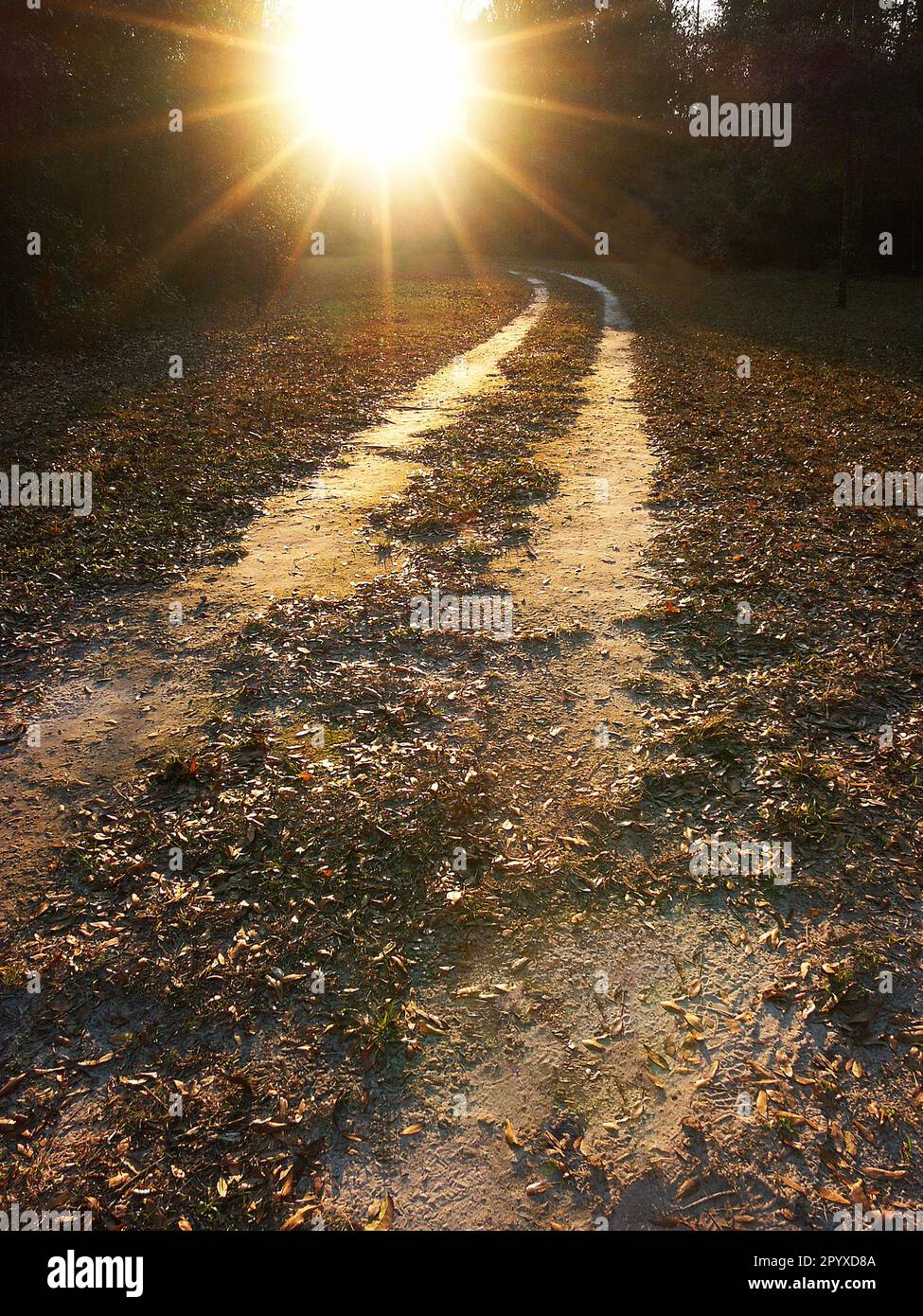 Setting sun illuminates a driveway in late afternoon. Stock Photo