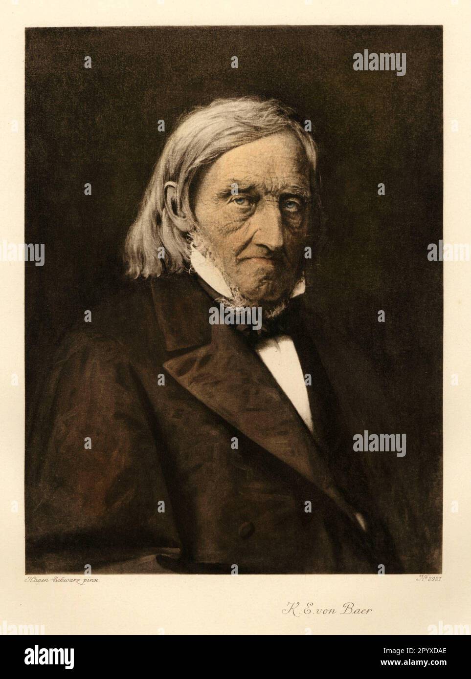 Karl Ernst Ritter von Baer (1792-1876), German zoologist and founder of the history of animal development. Painting by Hagen-Schwarz. Photo: Heliogravure, Corpus Imaginum, Hanfstaengl Collection. [automated translation] Stock Photo