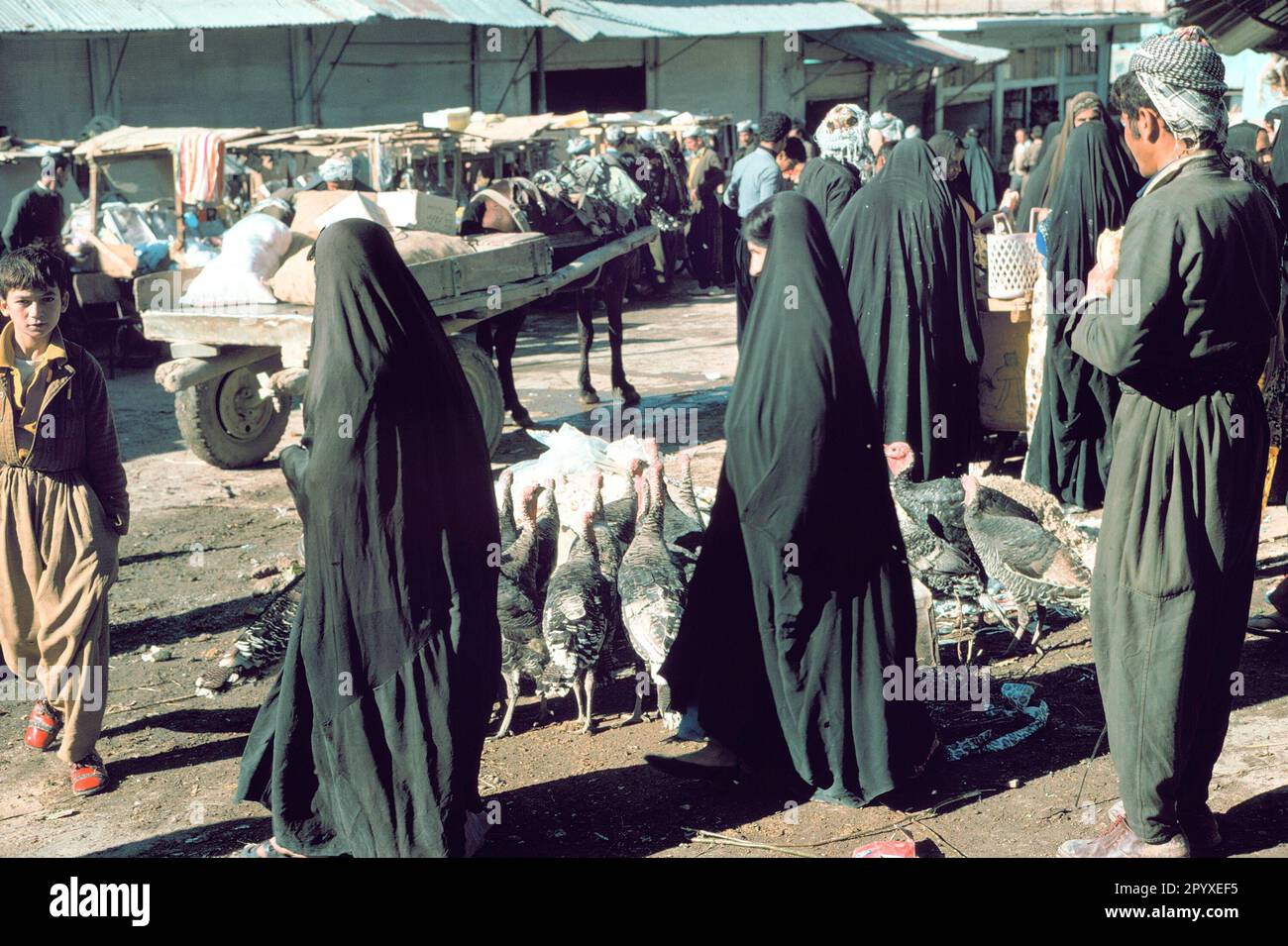 Irbile Market scene in Irbil: women in chador when shopping Stock Photo - Alamy