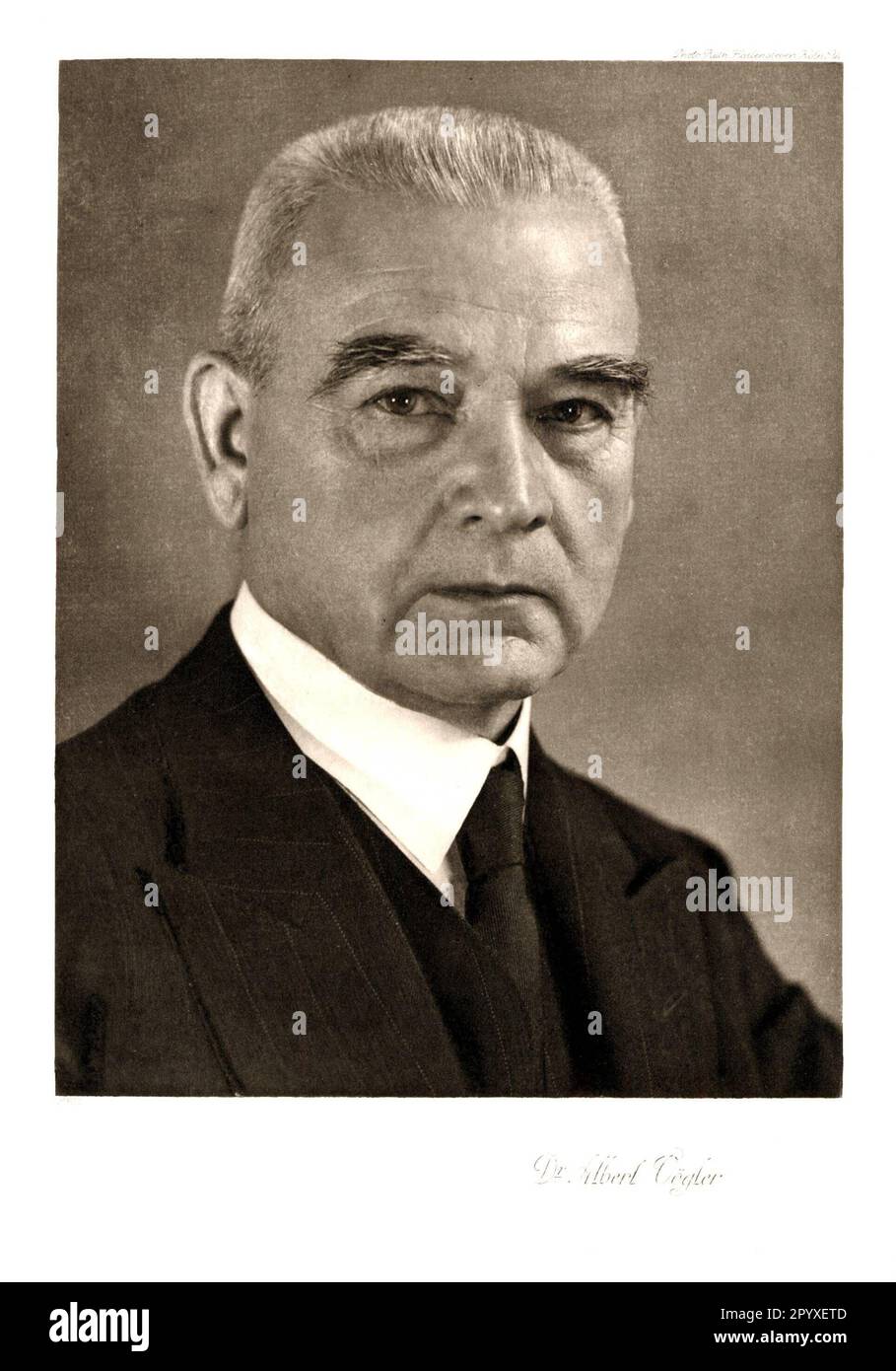 Albert Vögler (1877-1945 ), German engineer, industrialist and business ...