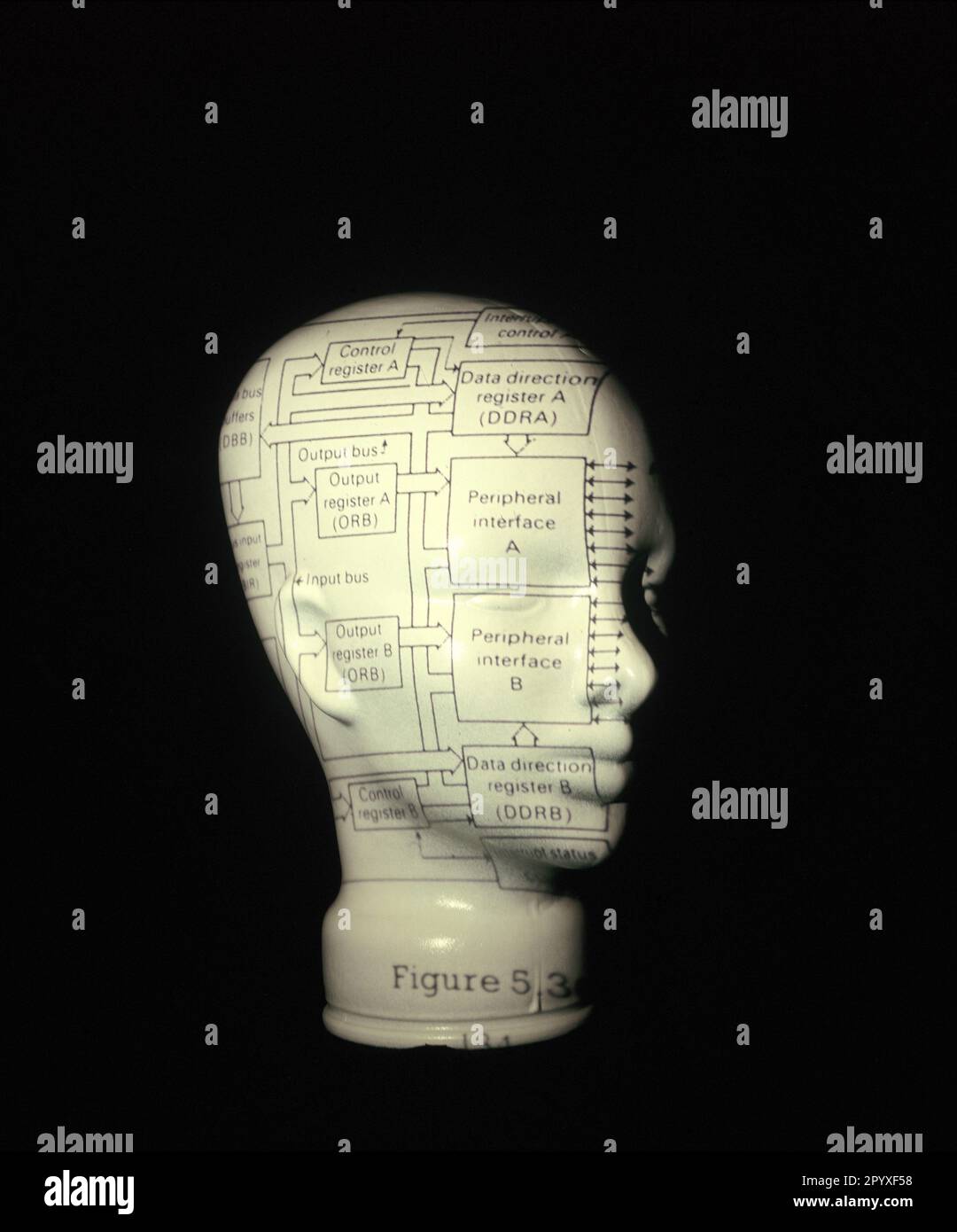 Concept still-life. Computer data chart projected on model of head. Stock Photo