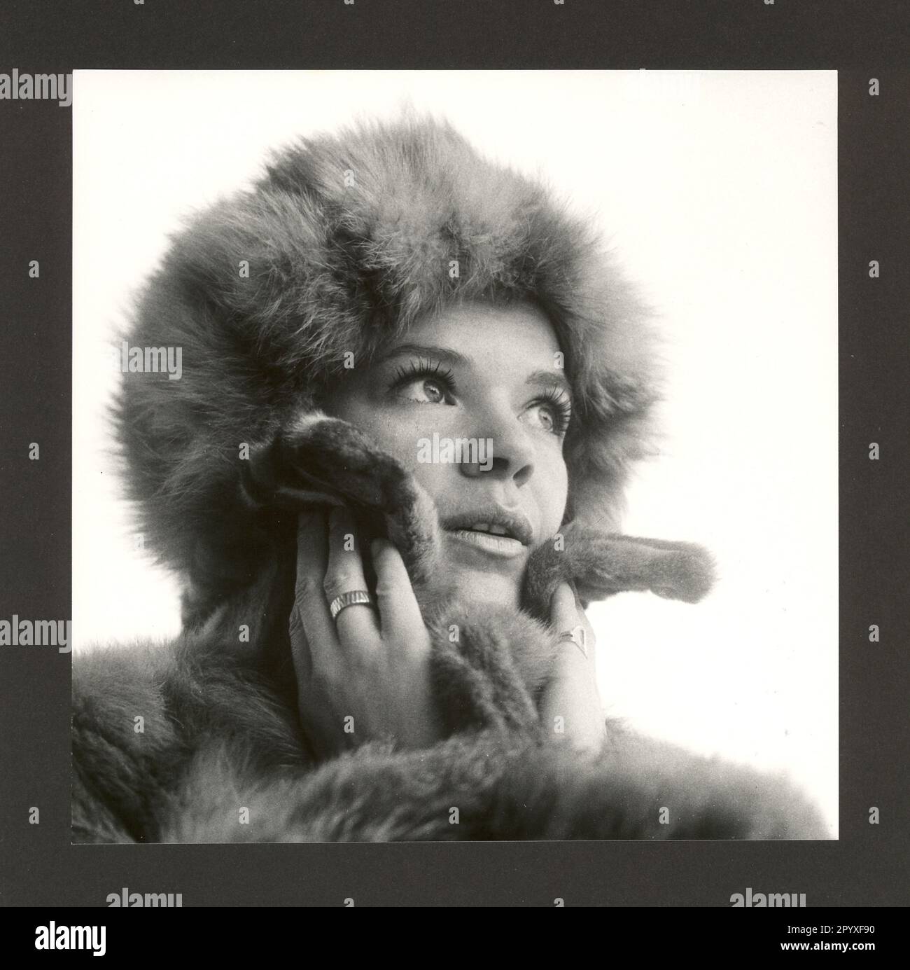 Fur fashion - red fox. [automated translation] Stock Photo - Alamy