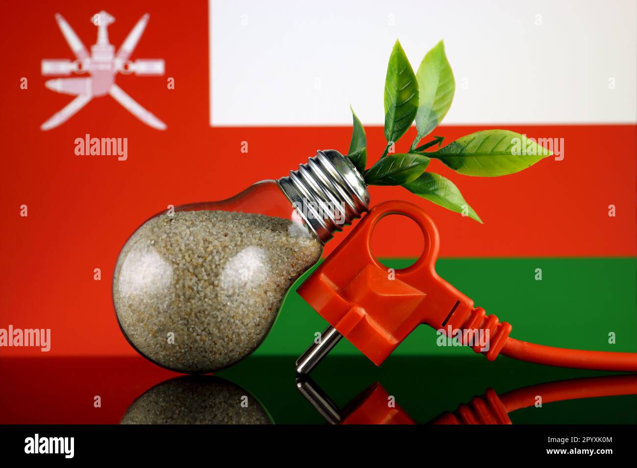 Plug, plant growing inside the light bulb and Oman Flag. Green eco
