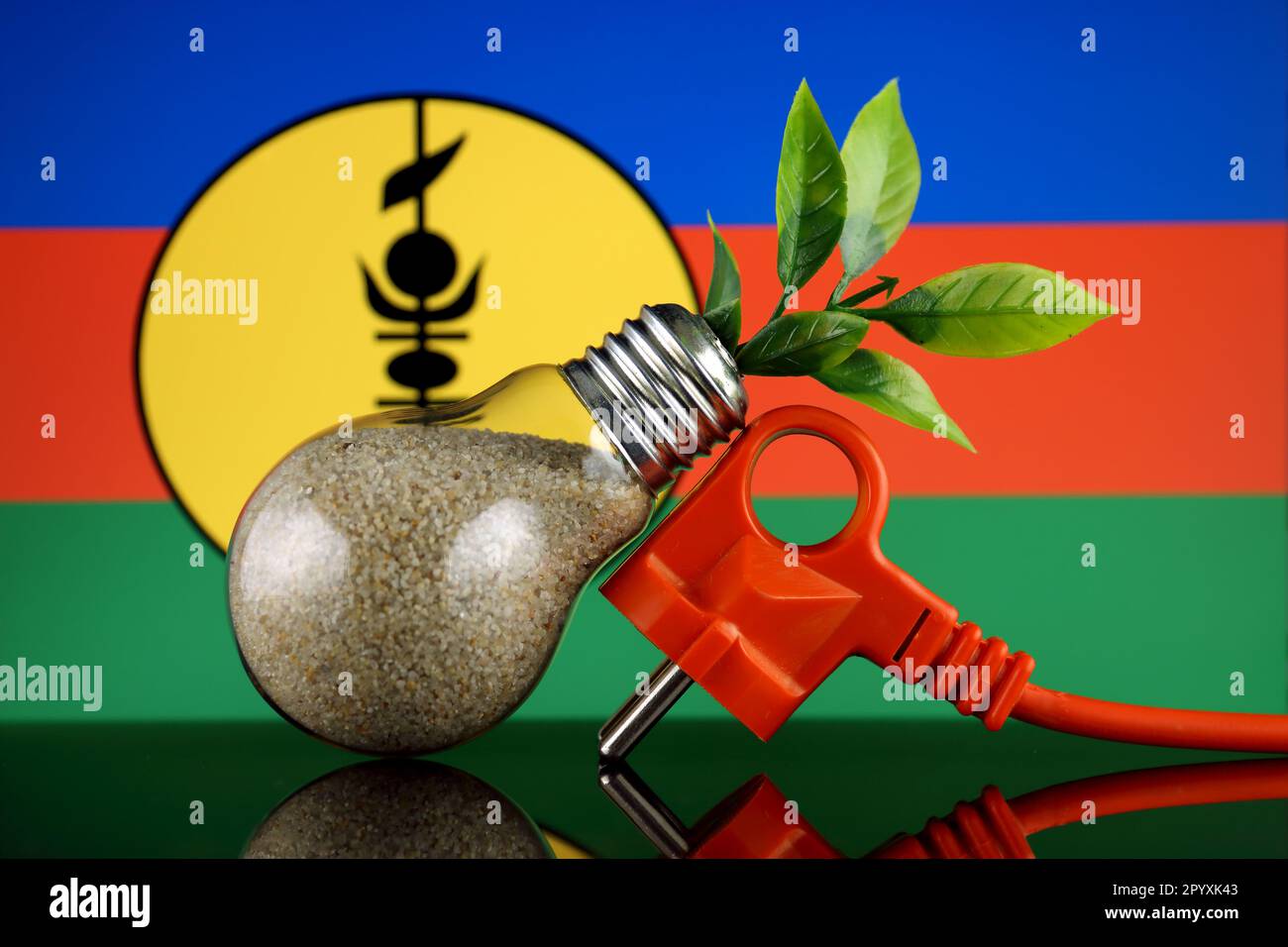 Plug, plant growing inside the light bulb and New Caledonia Flag. Green
