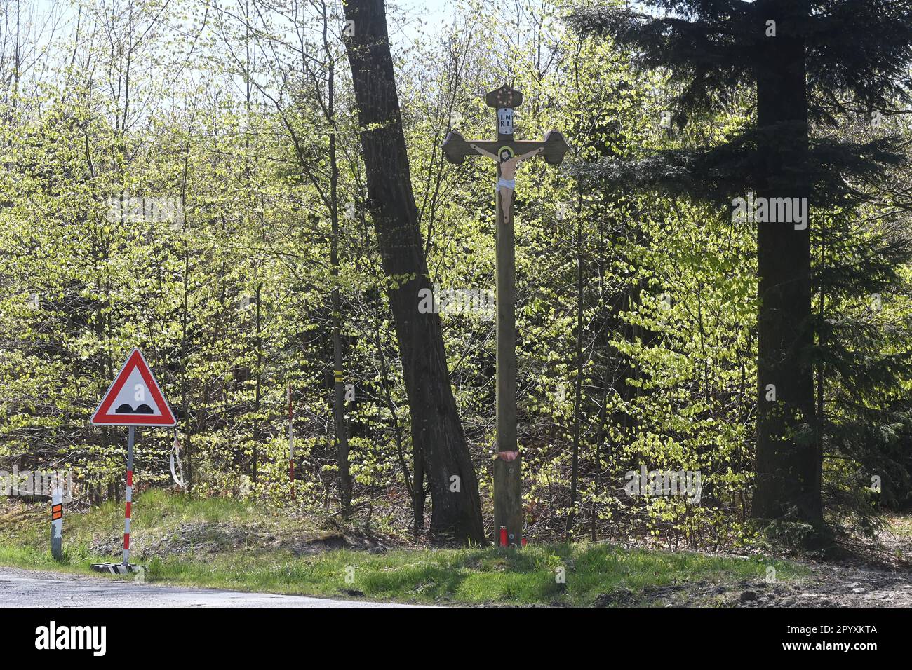 Potstat, Czech Republic. 05th May, 2023. The military forests at Libava ...