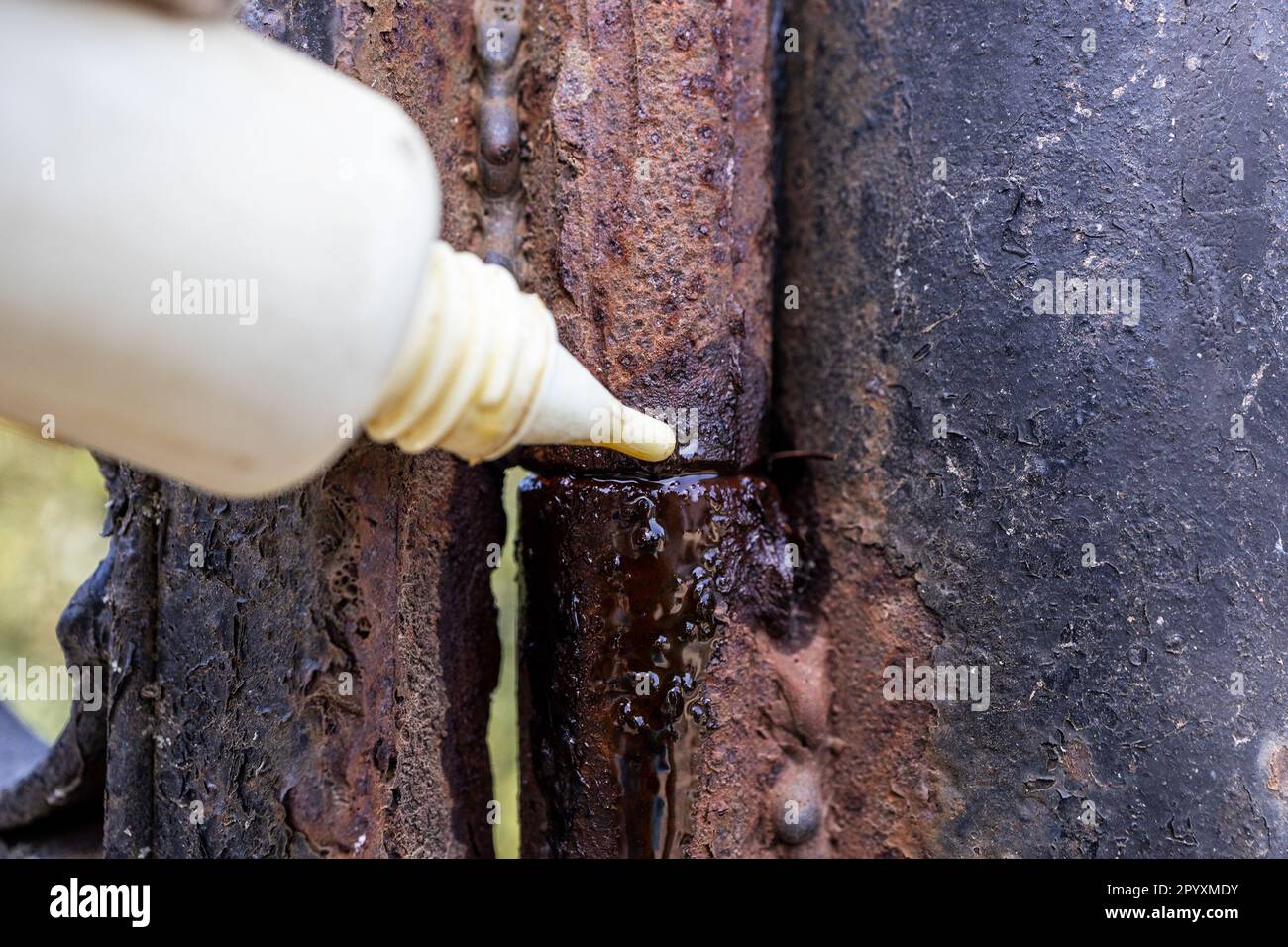 rusty gate hinge is lubricating with oil from plastic oiler close up outdoors Stock Photo