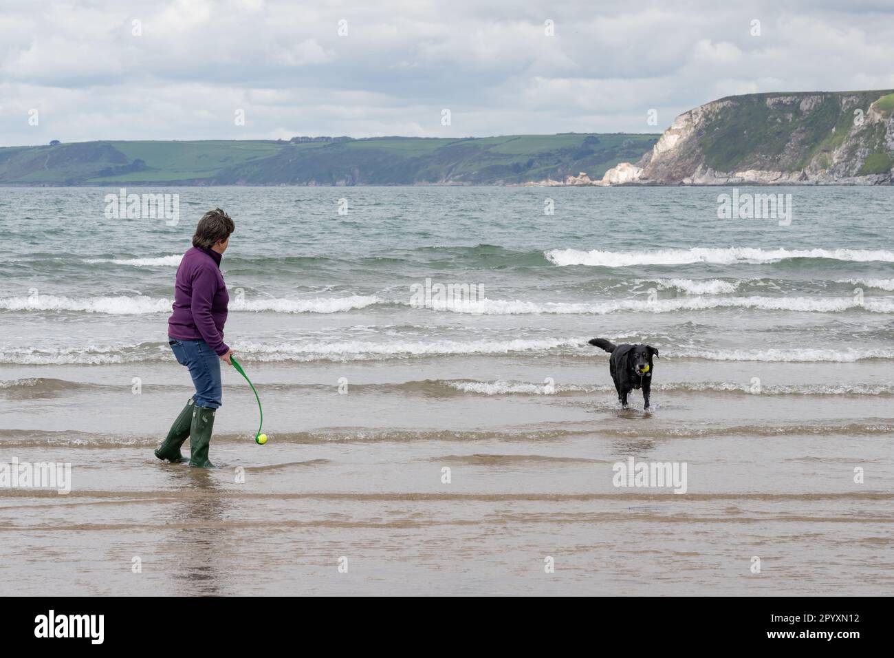 Dog owner walking her dog along the beach at Bigbury on Sea, South Devon, UK Stock Photo