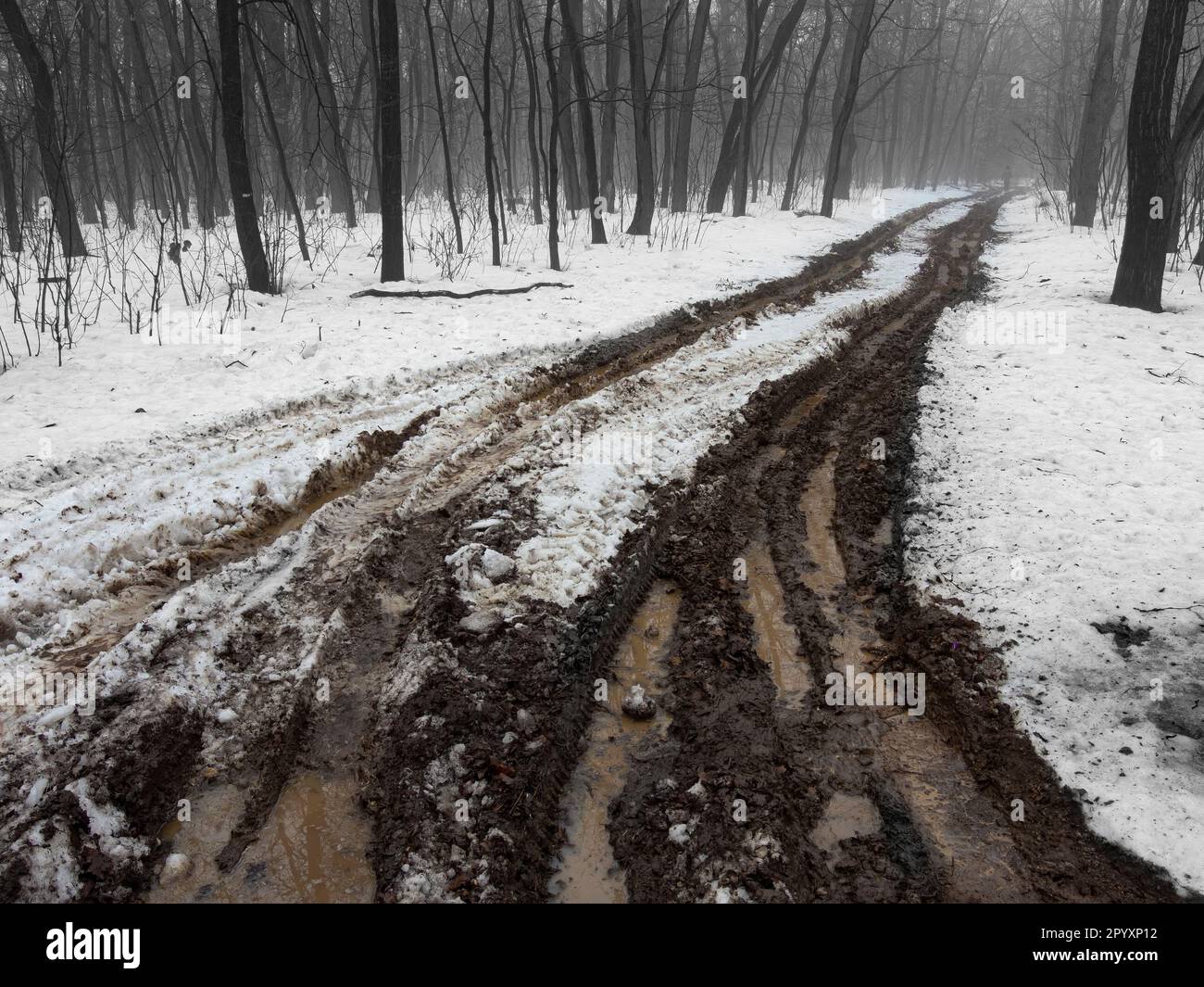 Deep car tracks at the dirt road. Spring mud and puddles Stock Photo