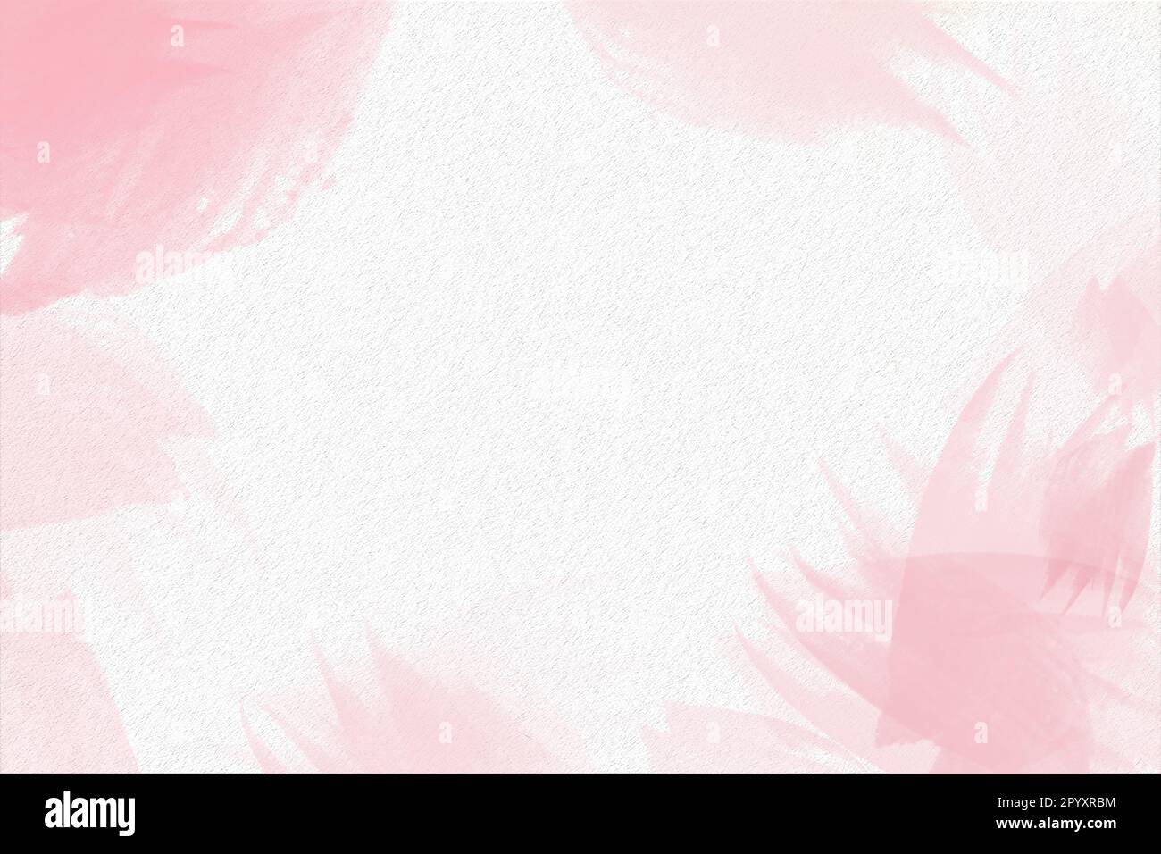 Rose Pink Abstract Collection Rose Pink Abstract Collection