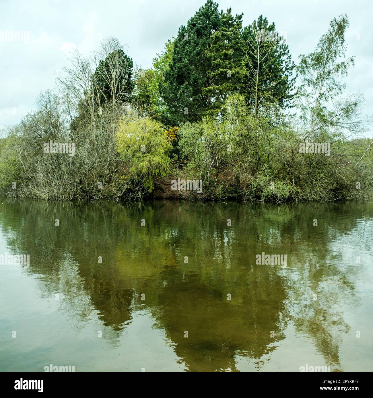 Fishing Lake Surrounded By Trees Reflected In The Calm Water Under A