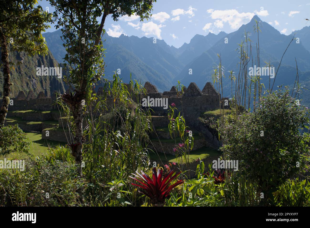 Machu Picchu in Peruvian Andes Stock Photo