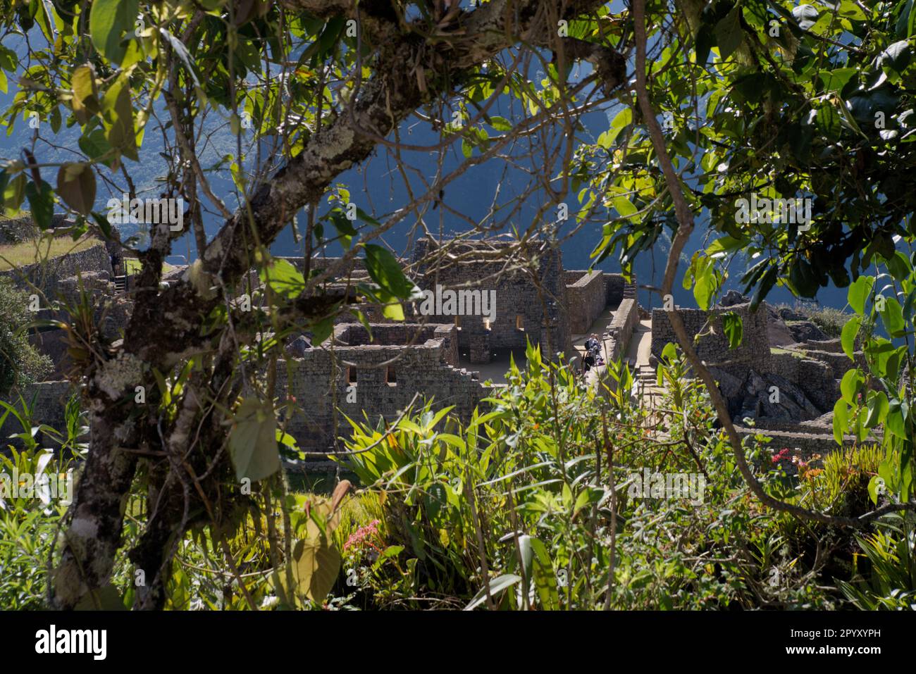 Machu Picchu in Peruvian Andes Stock Photo - Alamy