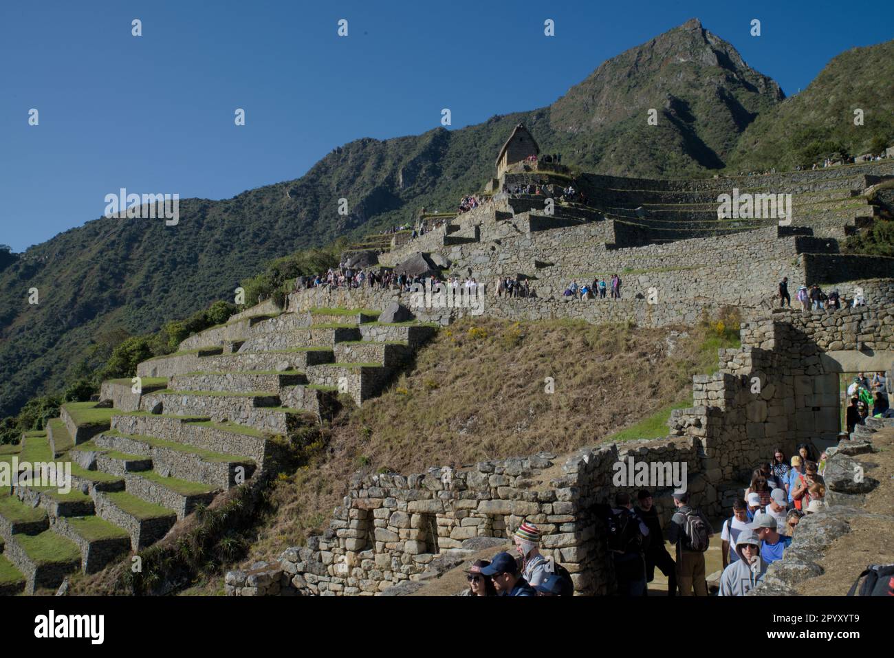 Machu Picchu in Peruvian Andes Stock Photo - Alamy