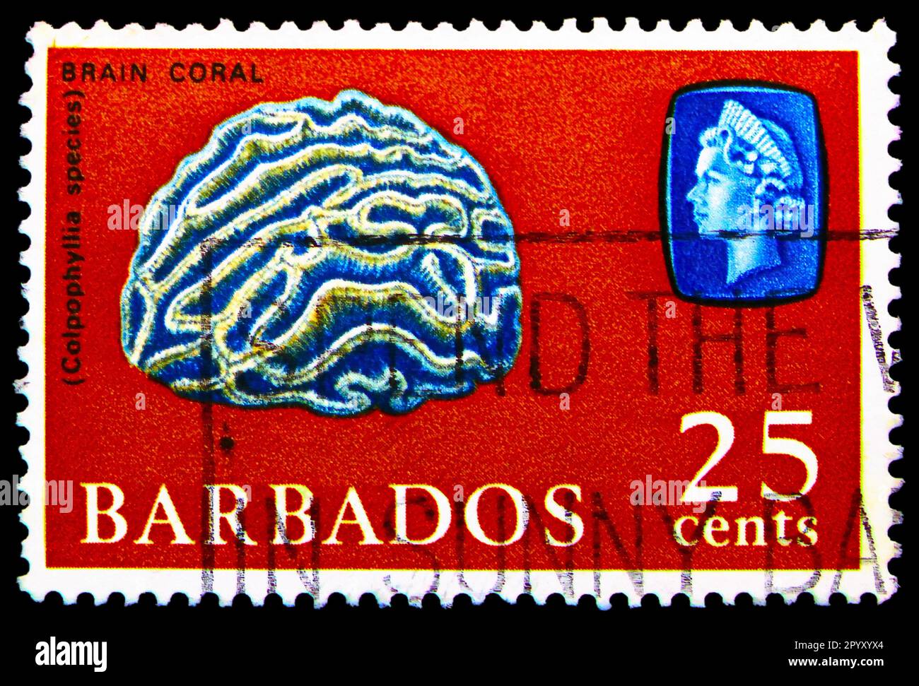 MOSCOW, RUSSIA APRIL 08, 2023 Postage stamp printed in Barbados shows Brain Coral