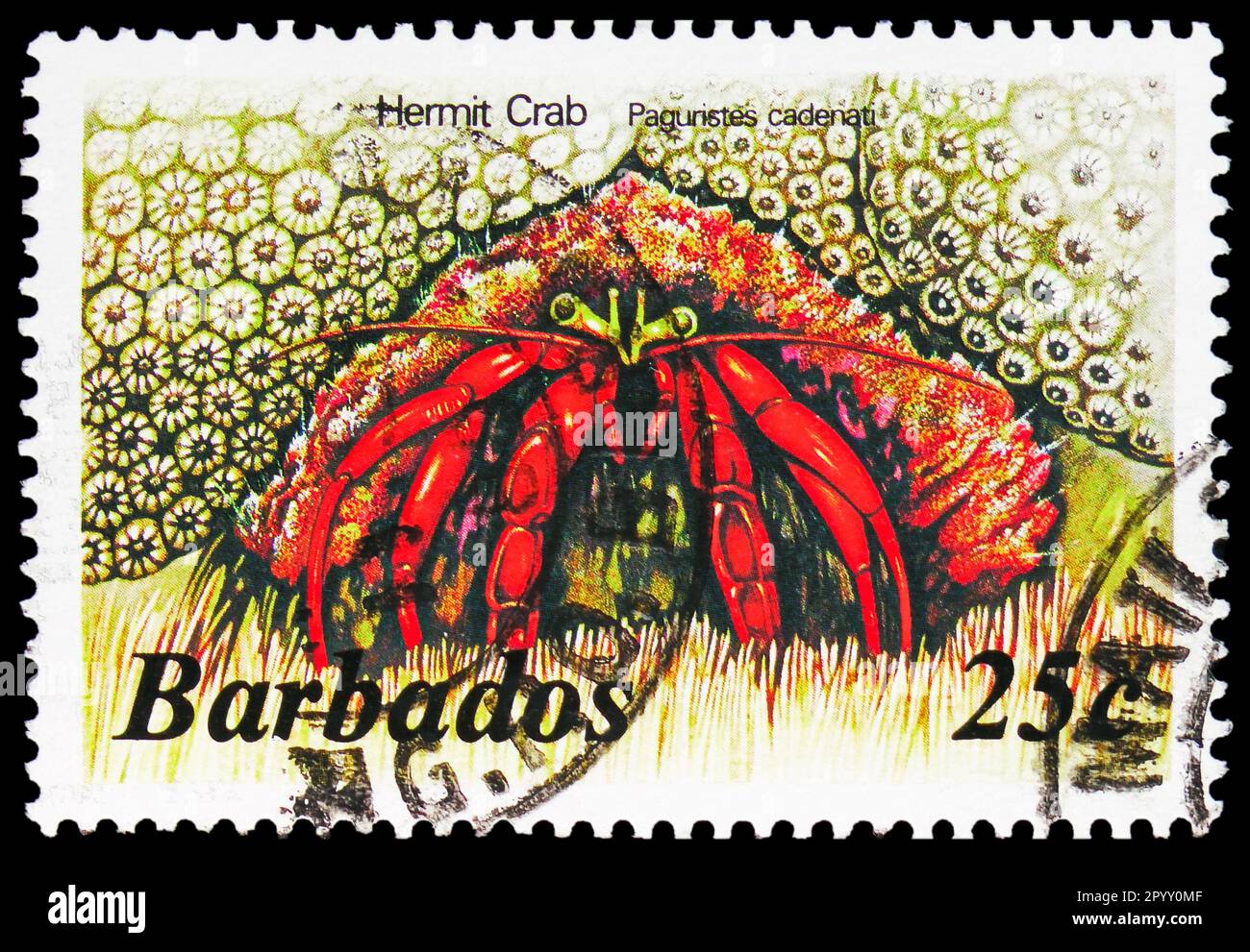 MOSCOW, RUSSIA APRIL 08, 2023 Postage stamp printed in Barbados