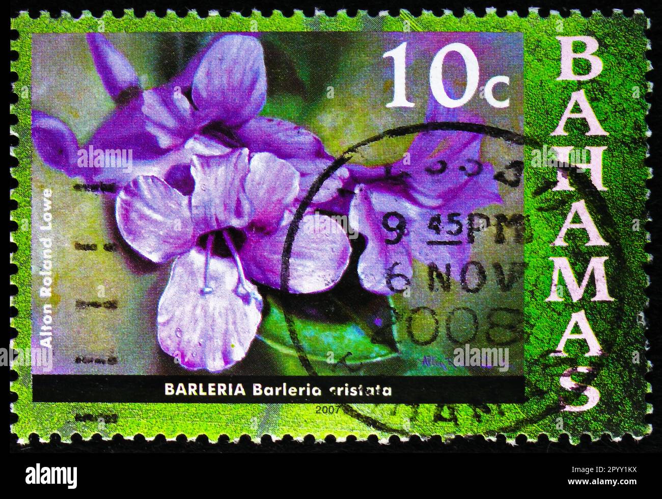 MOSCOW, RUSSIA - APRIL 08, 2023: Postage stamp printed in Bahamas shows Barleria, Flowers serie, circa 2007 Stock Photo