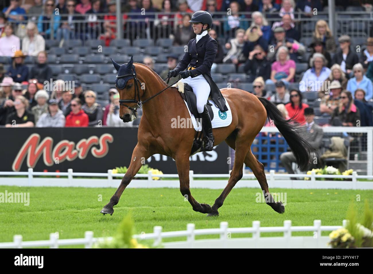 Badminton Estate, Gloucestershire, UK. 5th May, 2023. 2023 Badminton Horse Trials Day 2; Greta Mason of Great Britain riding Cooley For Sure during the dressage test on day 2 of the 2023 Badminton Horse Trials Credit: Action Plus Sports/Alamy Live News Stock Photo