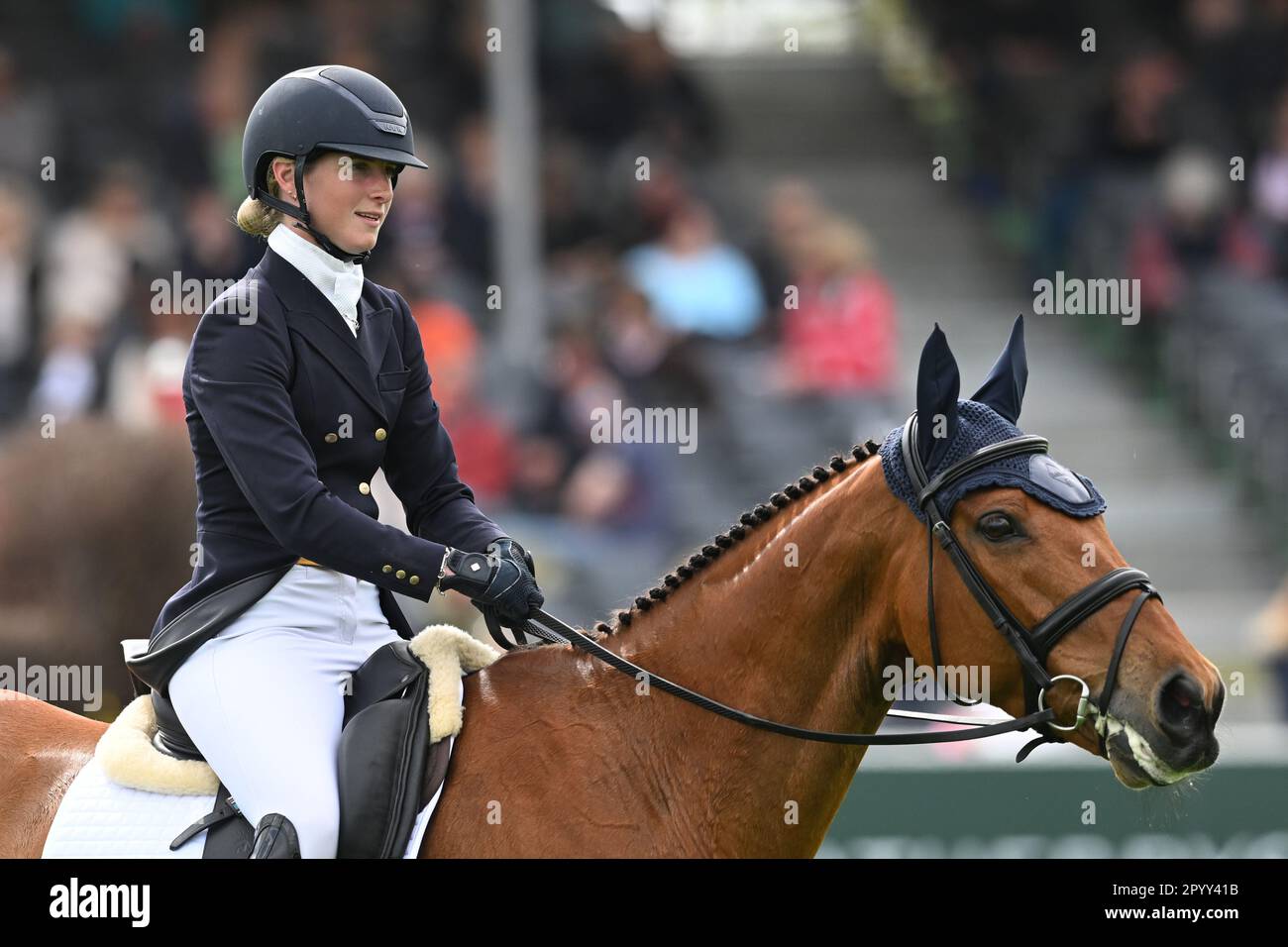 Badminton Estate, Gloucestershire, UK. 5th May, 2023. 2023 Badminton Horse Trials Day 2; Greta Mason of Great Britain riding Cooley For Sure during the dressage test on day 2 of the 2023 Badminton Horse Trials Credit: Action Plus Sports/Alamy Live News Stock Photo