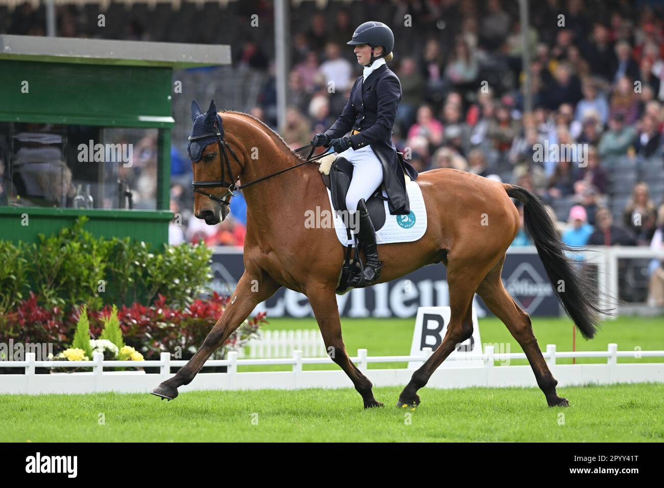 Badminton Estate, Gloucestershire, UK. 5th May, 2023. 2023 Badminton Horse Trials Day 2; Greta Mason of Great Britain riding Cooley For Sure during the dressage test on day 2 of the 2023 Badminton Horse Trials Credit: Action Plus Sports/Alamy Live News Stock Photo