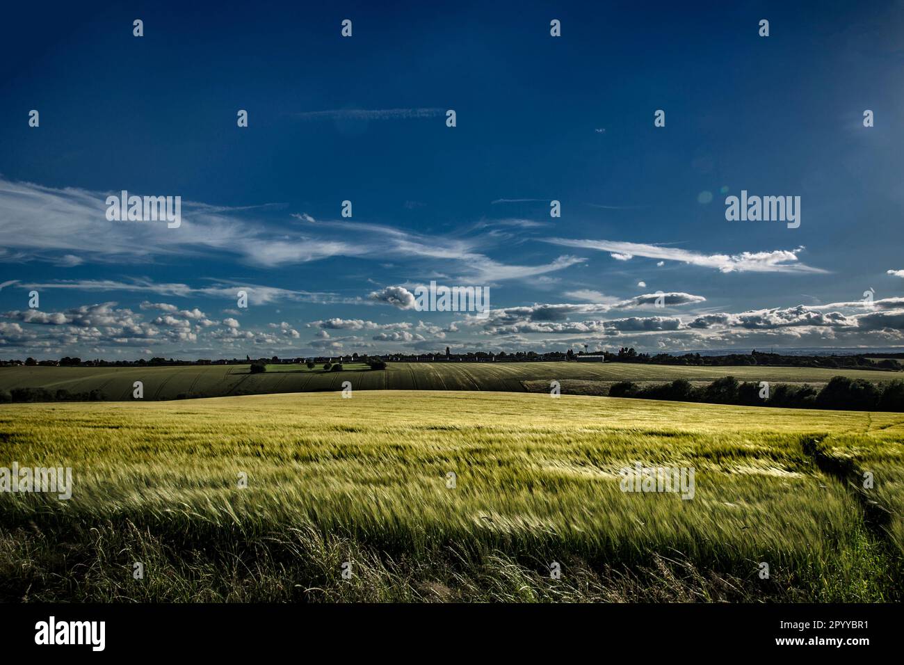 British country field Stock Photo Alamy