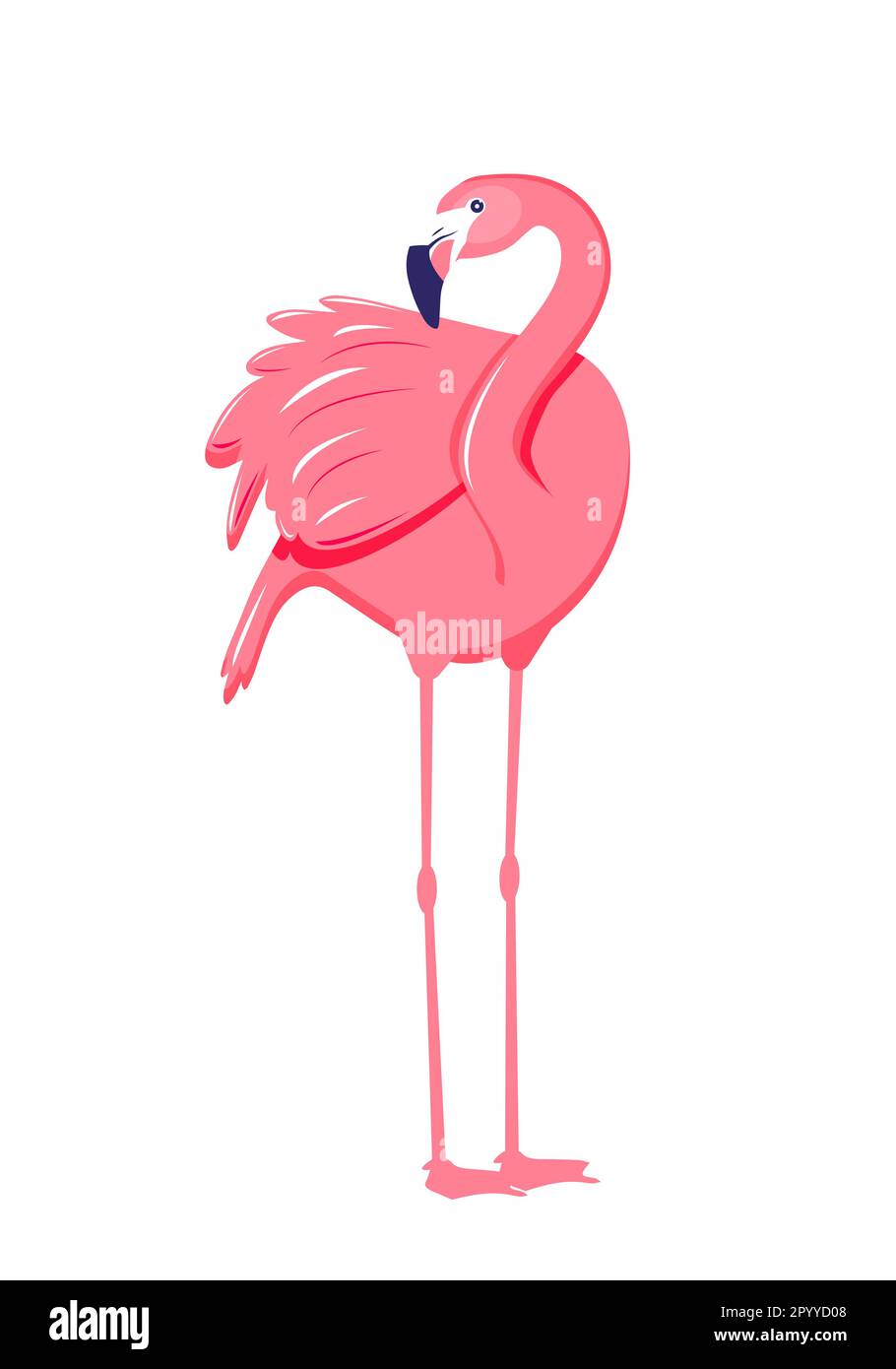 Pink flamingo vector illustration isolated on white background. EPS10 ...