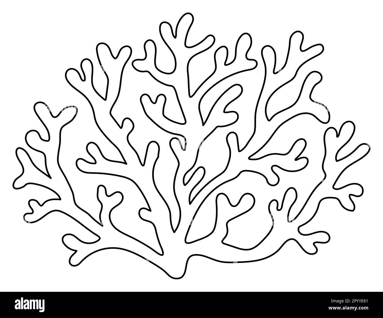 corals clipart black and white