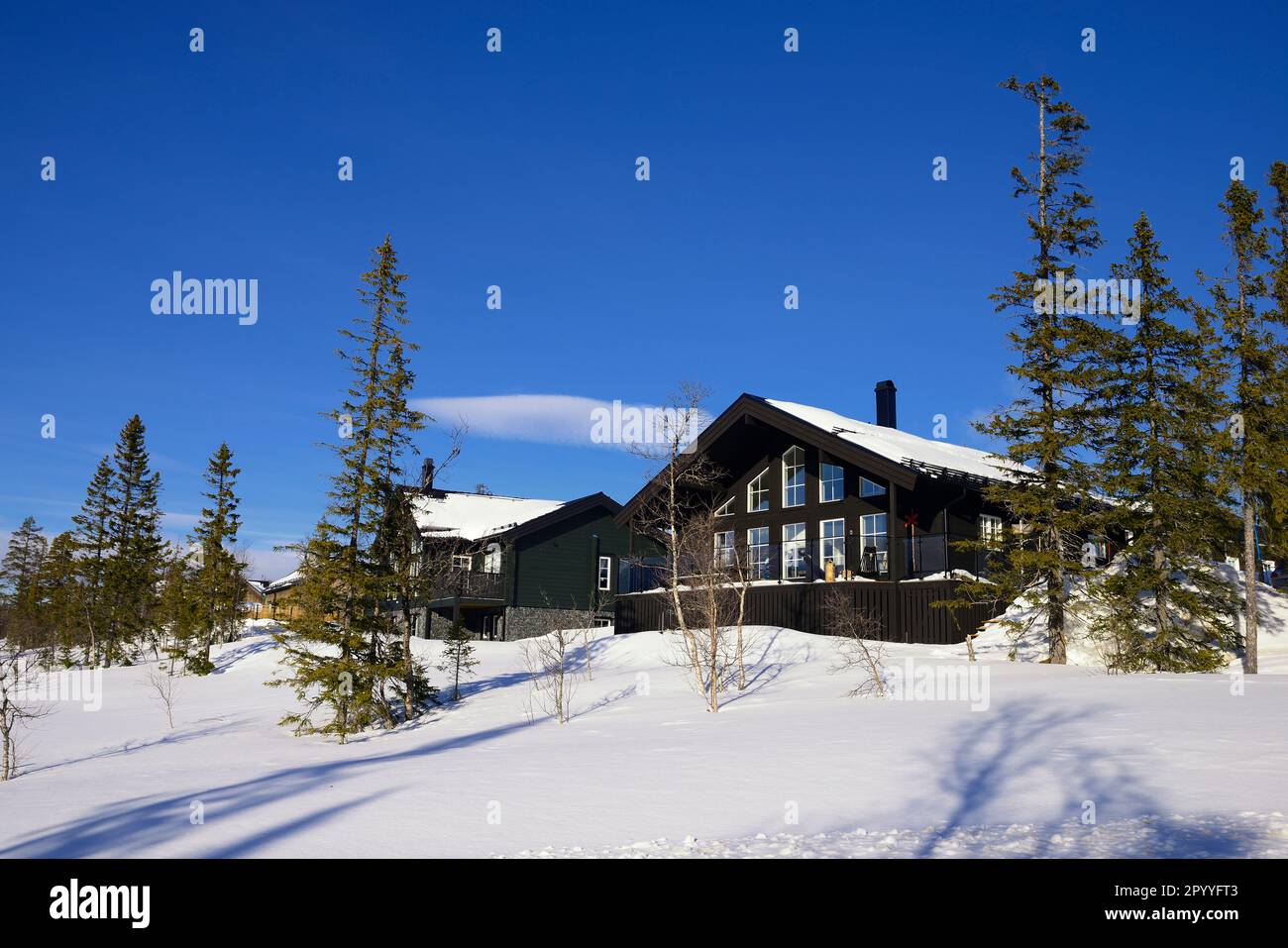 Wooden chalets among snow covered trees, Storhogna, Sweden Stock Photo