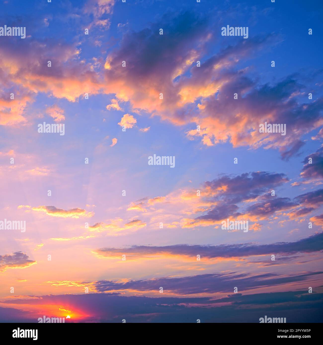 Fantastic pink sunset against blue sky with fluffy white clouds. Stock Photo