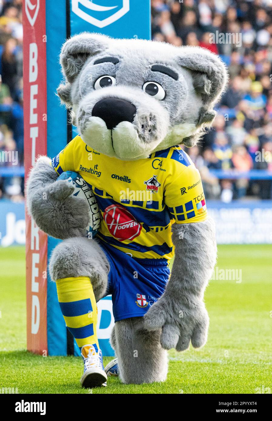Warrington, Cheshire, England 5th May 2023. Warringtonmascot ' Wolfie’ entertains the crowd ahead of kick off, during Warrington Wolves Rugby League Football Club V Wakefield Trinity Rugby League Football Club at the Halliwell Jones Stadium, the Betfred Super League. (Credit Image: ©Cody Froggatt/Alamy live news) Stock Photo