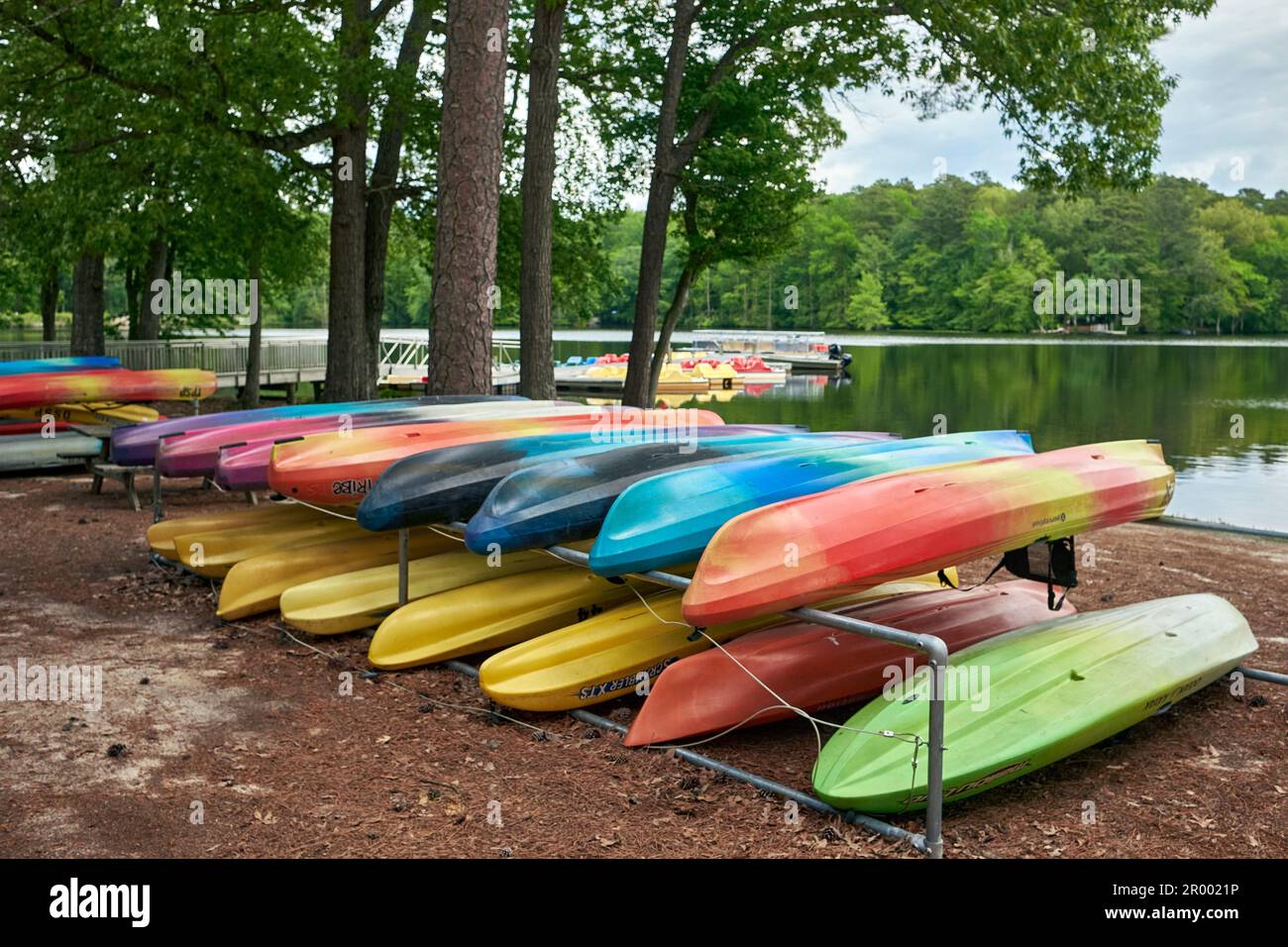 Colorful kayaks stored upside down at a wooded lakeside, while pedal boats stand by near a pier