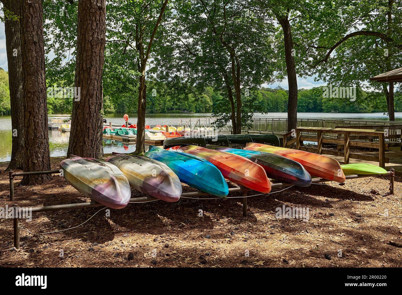 Colorful kayaks stored upside down at a wooded lakeside, while pedal