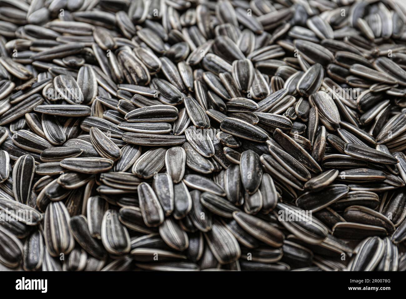 Pile of sunflower seeds as background, closeup Stock Photo Alamy