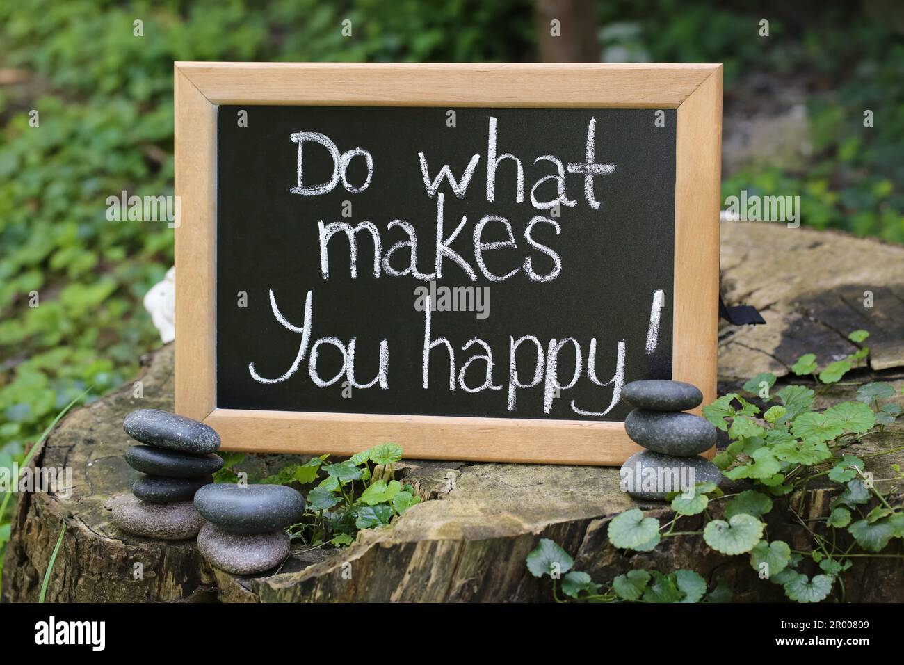 Chalkboard with phrase Do What Makes You Happy on stump outdoors Stock Photo