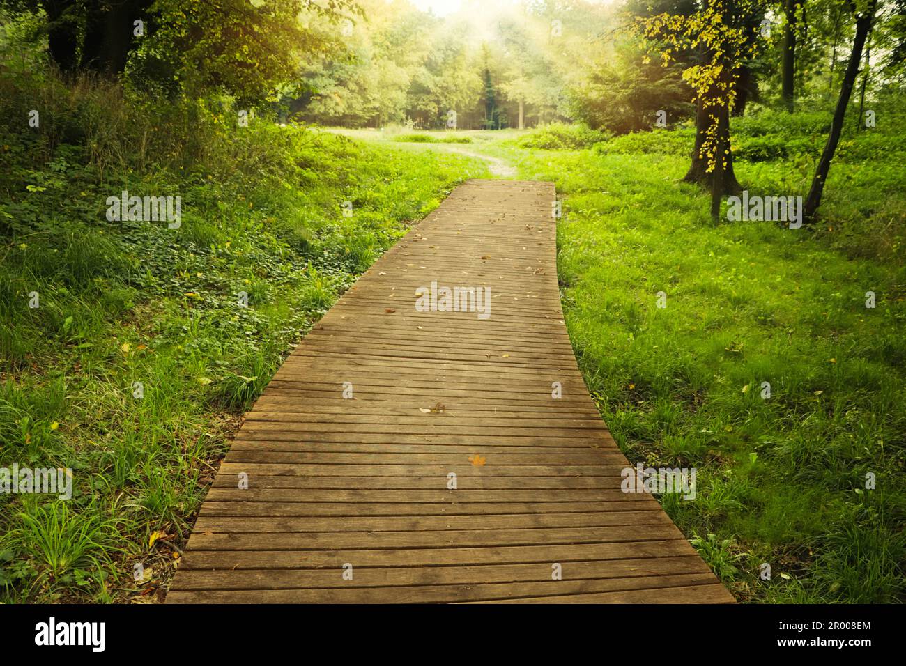 Beautiful public city park with pathway and green grass Stock Photo - Alamy