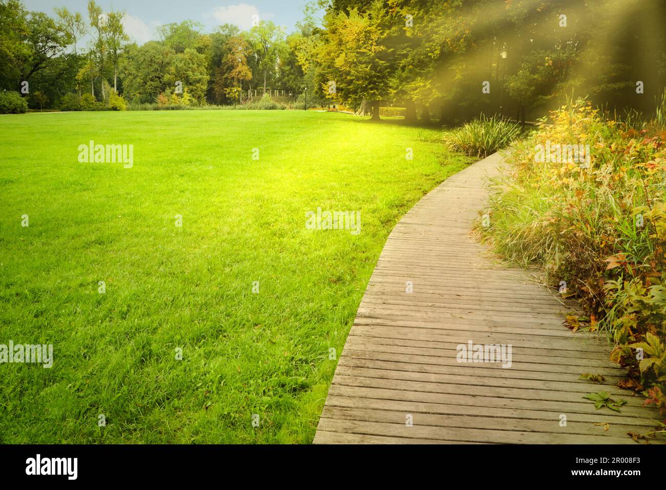 Beautiful public city park with pathway and green grass Stock Photo - Alamy