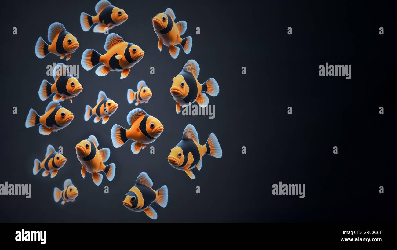Beautiful colorful black and orange fantasy clown fish on black background. Aquarium tropical fish. Space for text Stock Photo