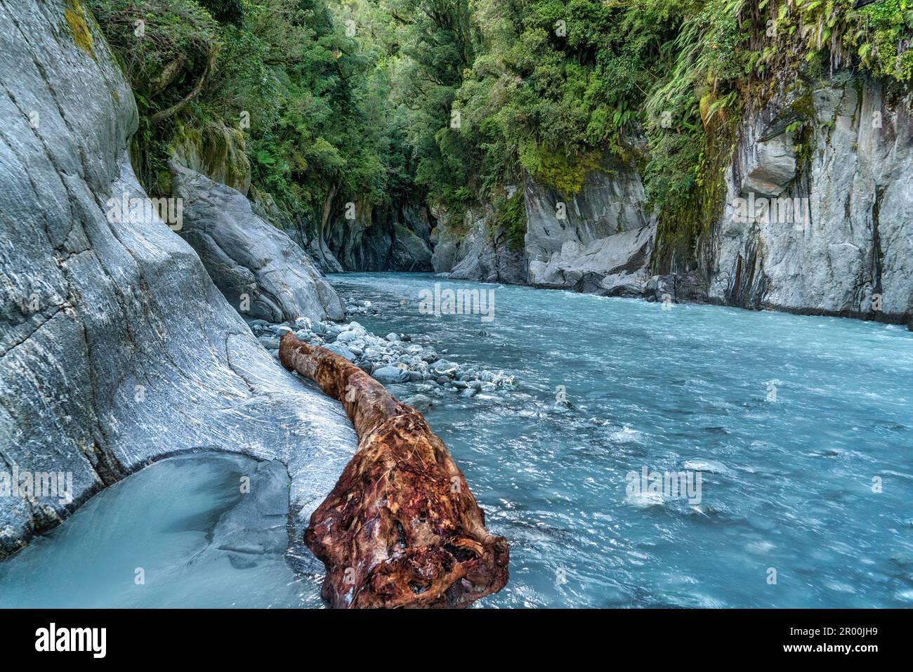 Huge pice of driftwood stuck against the cliff at the opening to the Callery gorge in the West Coast of NZ Stock Photo