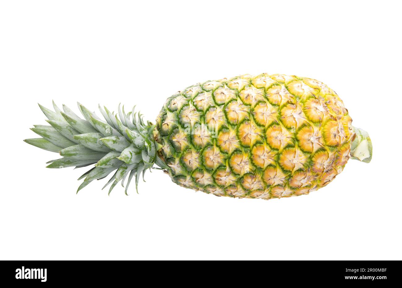 Ripe pineapple isolated on white background Stock Photo
