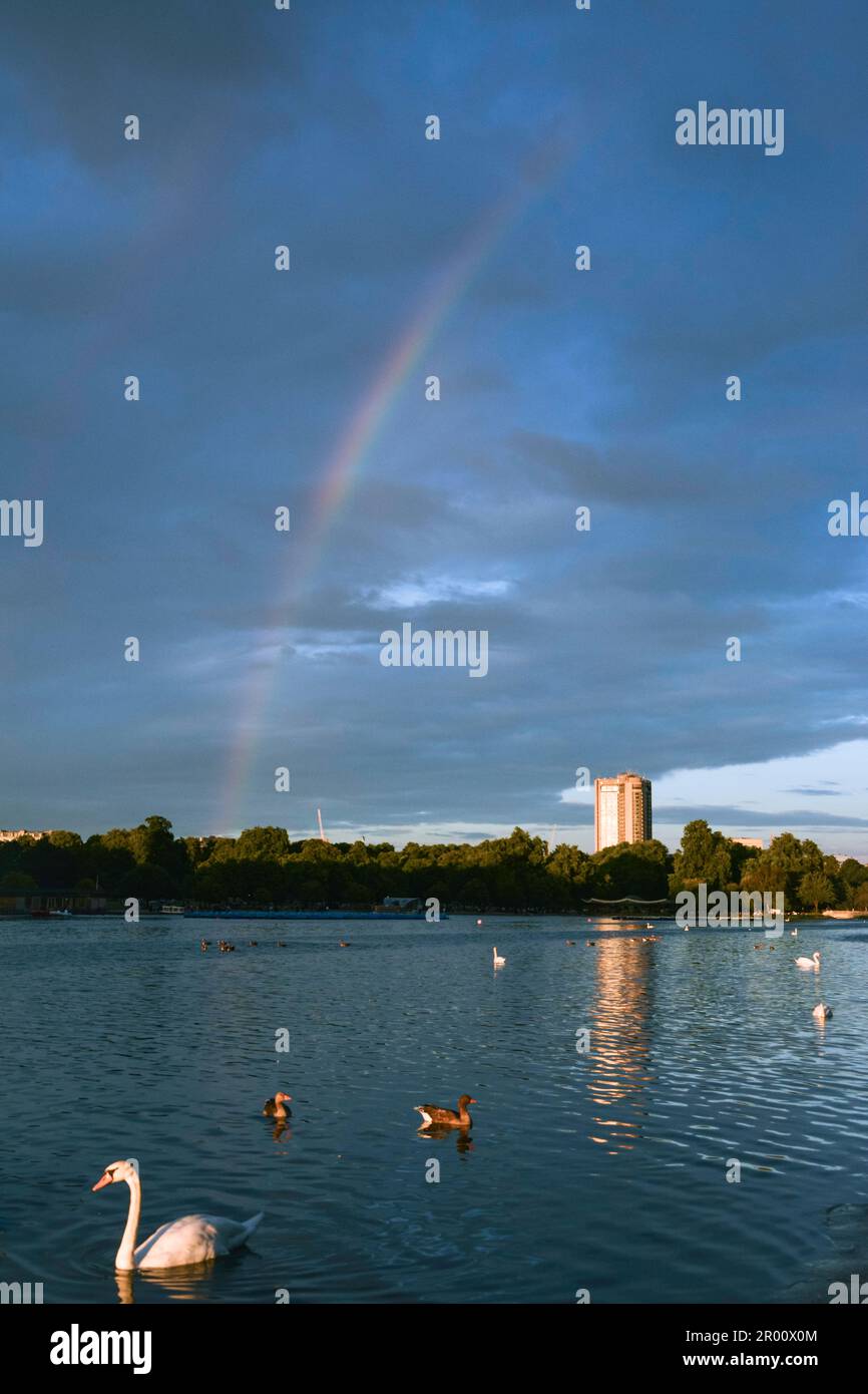 Swans and Rainbow by the Serpentine River - Hyde Park, London Stock Photo