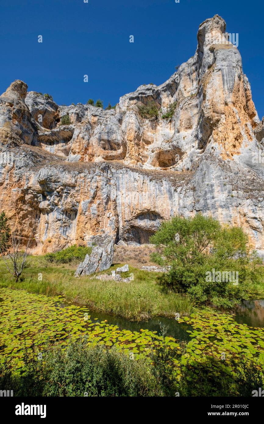 zona de reserva Castillo Billido, Parque Natural del Cañón del Río Lobos, Soria, Comunidad Autónoma de Castilla, Spain, Europe Stock Photo